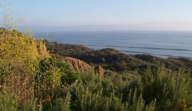 The trails of San Onofre are a beautiful place to hike, camp, and surf. But inconvenient if you need to take a dump...bad.