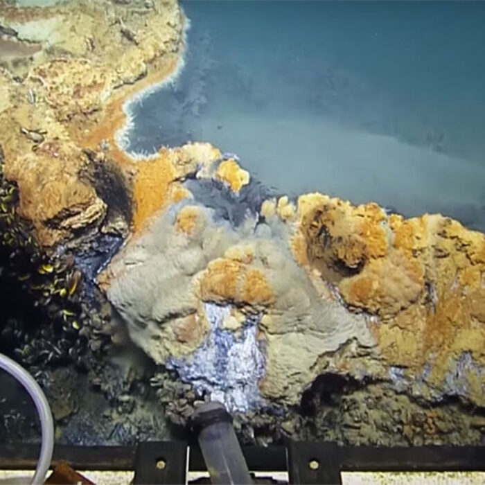 A dead crab lies at the edge of the brine pool some 3,300 feet below the surface of the Gulf of Mexico.