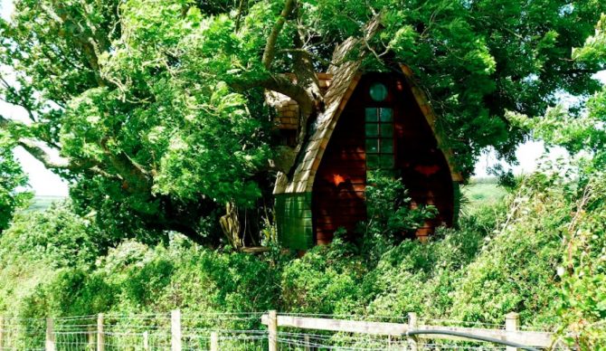 Look! Up in the trees! It's... your next vacation! Photo: Airbnb