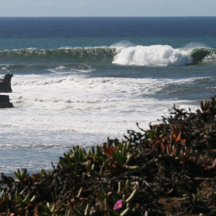 With any luck, next years' Titans of Mavericks event will have women includes. Photo: @Shannonreporting
