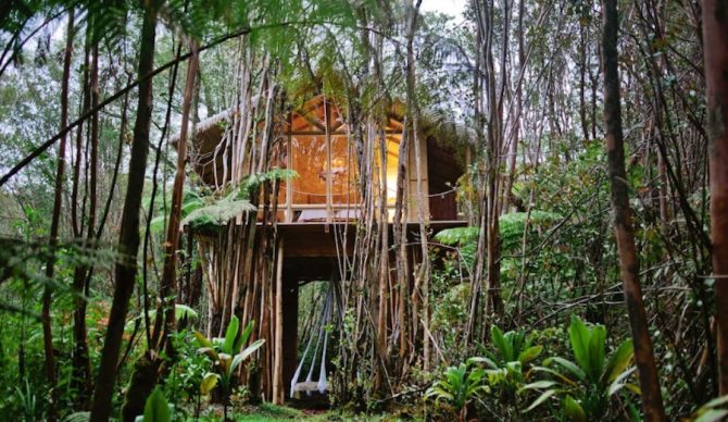 It might be a little bit of a mission to check the waves, but who cares? You're in a tree! Photo: Airbnb