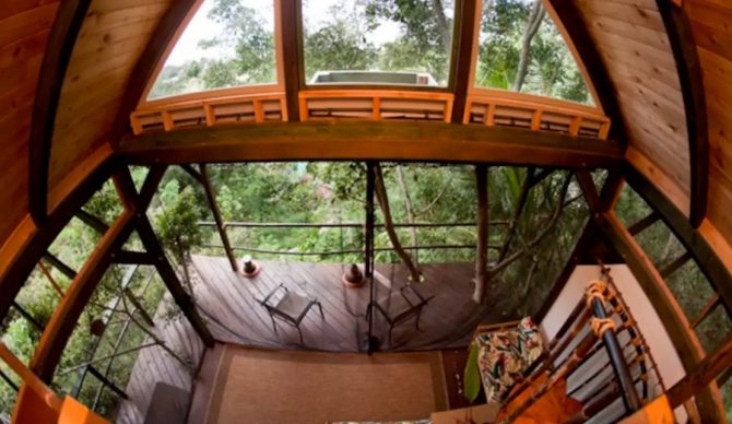 Look just beyond the tree limbs and you can see Sunset absolutely macking. Photo: Airbnb