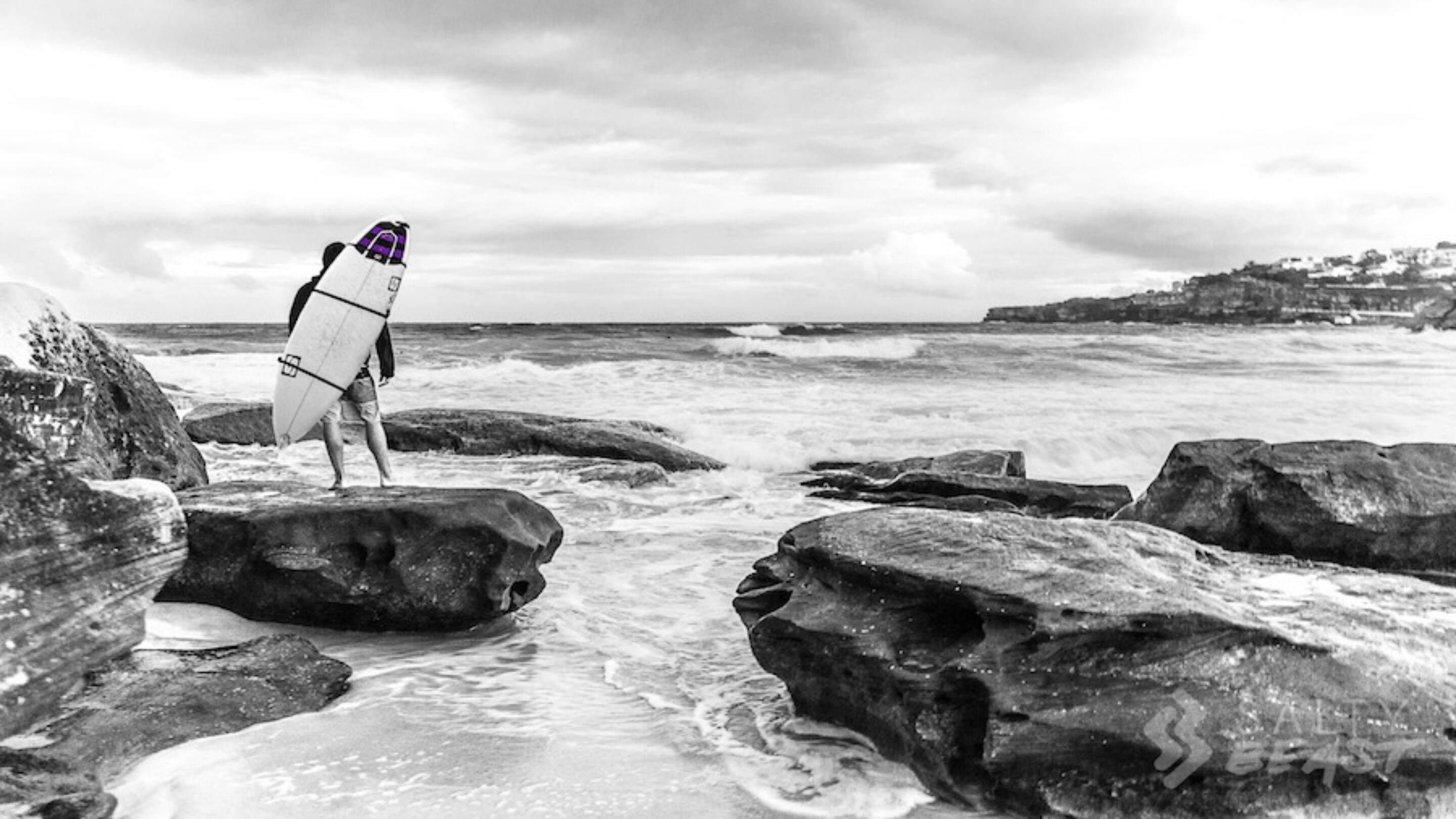 Salty Beast Surfboard Backpack Bondi Beach Sydney, Australia