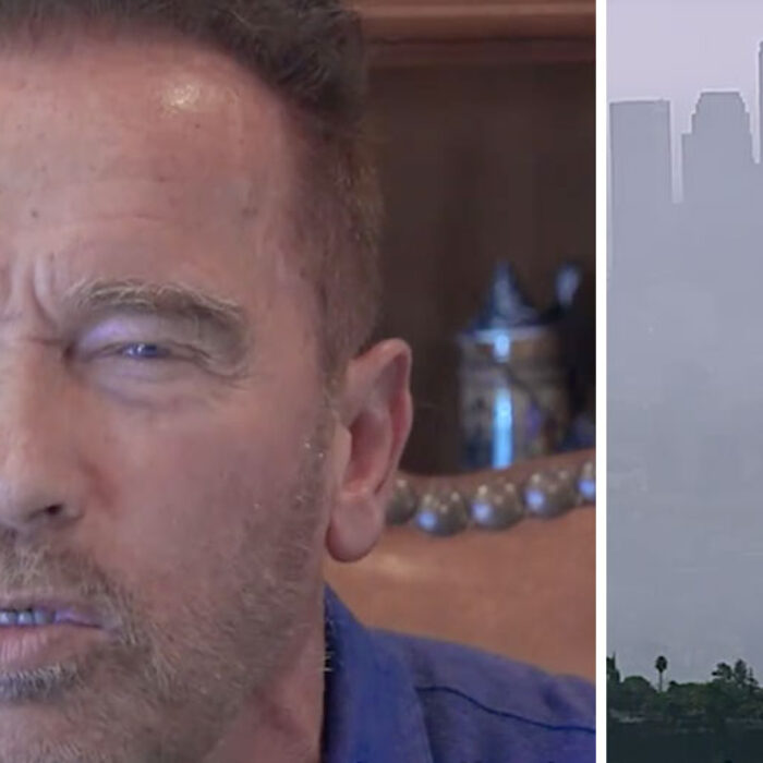 One thing Arnold Schwarzenegger has got right, though, is his stance on the environment.