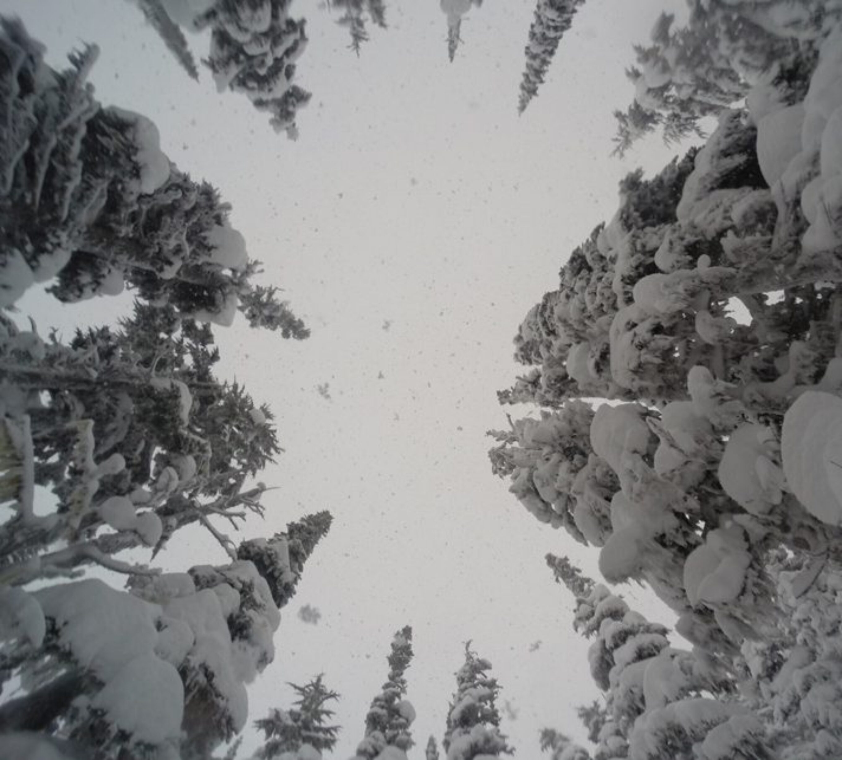 When it's this deep, you see this view from time to time.
