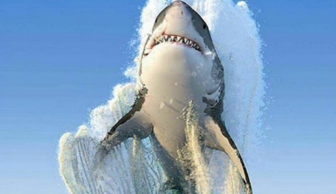 Incredible photo. More like incredible hoax. Photo: Shutterstock