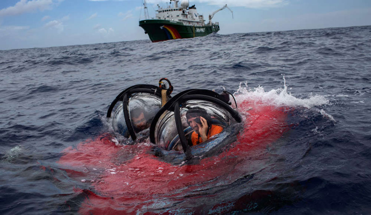 Researchers joined Greenpeace, then went reef hunting in a mini-sub. Photo: Greenpeace