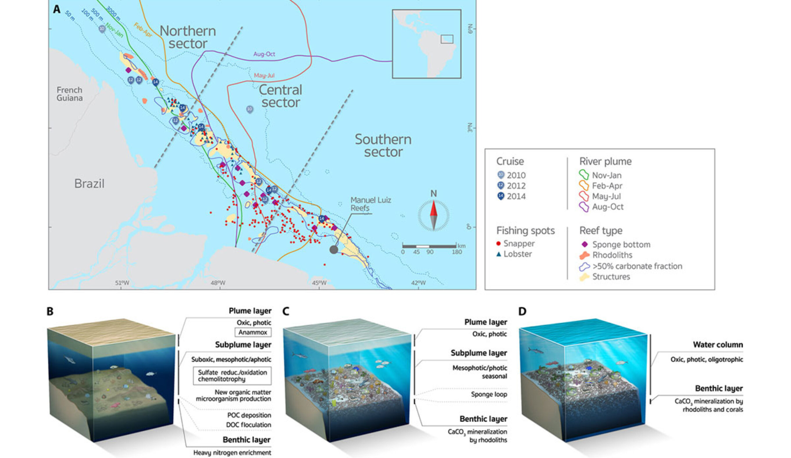 The reef stretches nearly 700 miles.