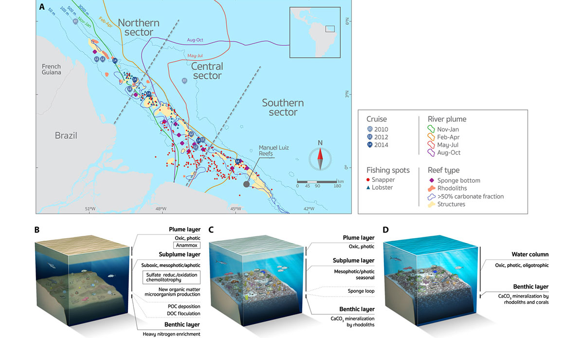 The reef stretches nearly 700 miles. 