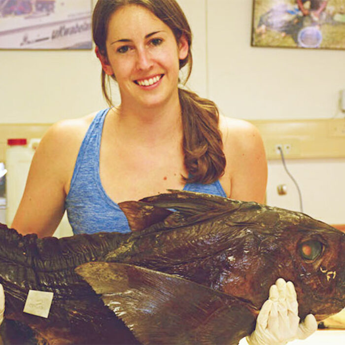 Kristin Walovich holds the 50th described species of ghost shark on record. Photo: Courtesy of Kristin Walovich/Live Science