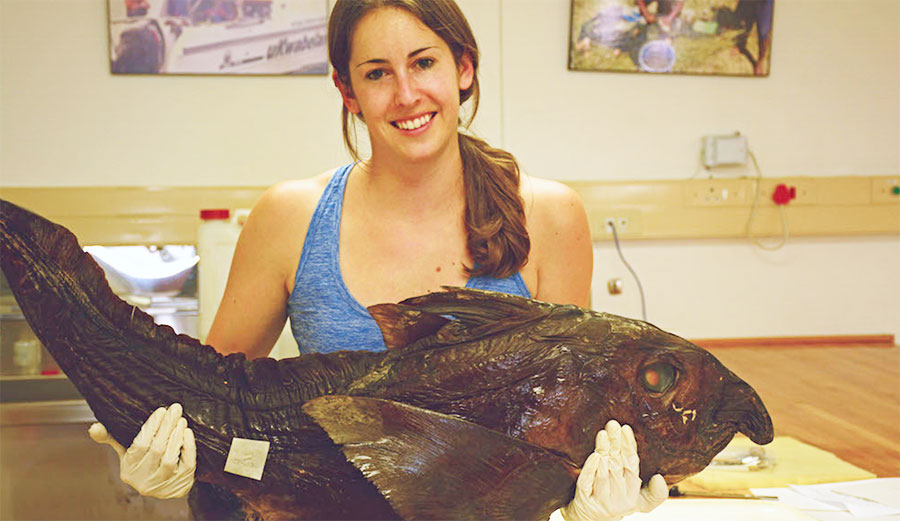 Kristin Walovich holds the 50th described species of ghost shark on record. Photo: Courtesy of Kristin Walovich/Live Science