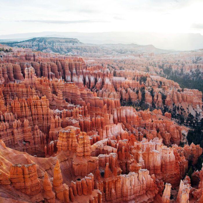 This seems like a great place to drill for oil! Photo: Tracy Zhang