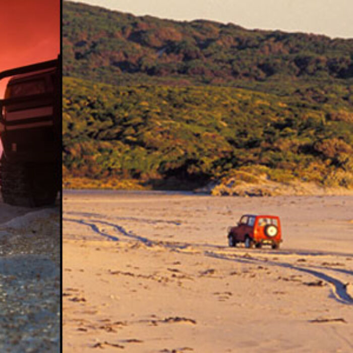 Surfing road trips