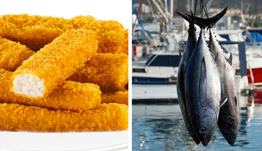 Fish sticks and tuna. Varying degrees of "good."