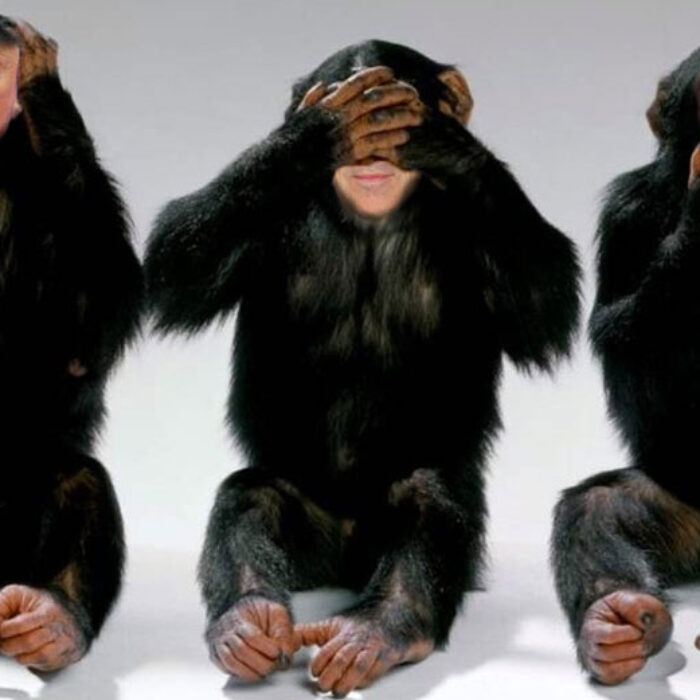 From left to right: President Trump, Energy Secretary Rick Perry, and Secretary of State Rex Tillerson, hard at work.