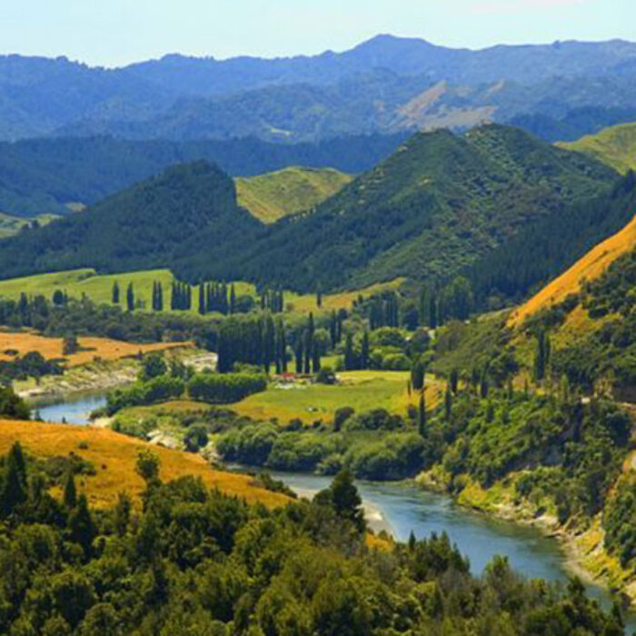 The Whanganui River was given legal personhood by New Zealand parliament on Wednesday. Photo: Wikimedia