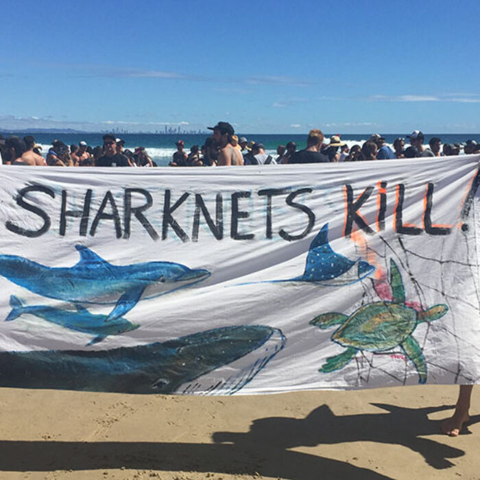 The planned protest was one of many the group has held since its inception in 2004 by professional free surfer Dave Rastovich and artist Howie Cooke. Photo: Diener