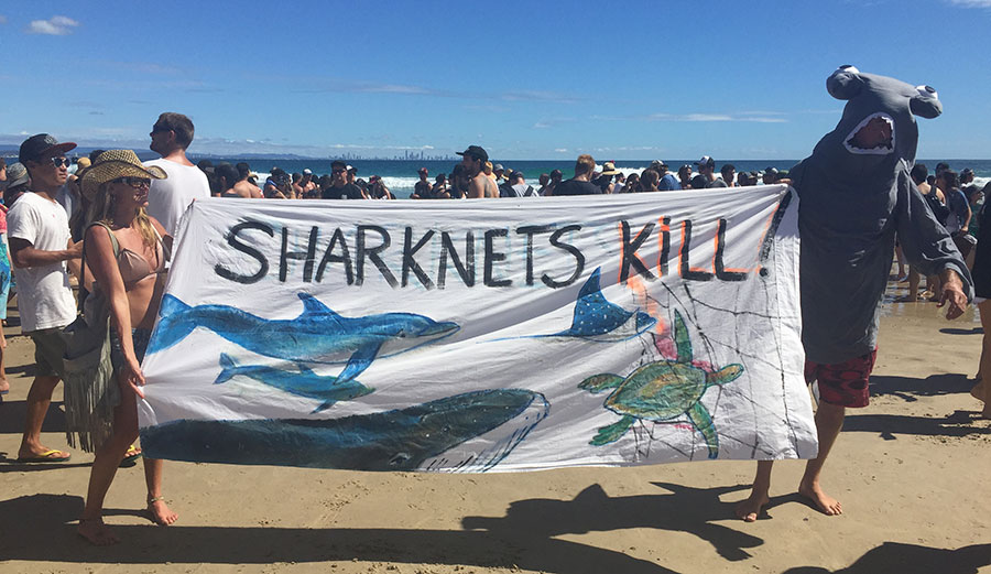 The planned protest was one of many the group has held since its inception in 2004 by professional free surfer Dave Rastovich and artist Howie Cooke.  Photo: Diener