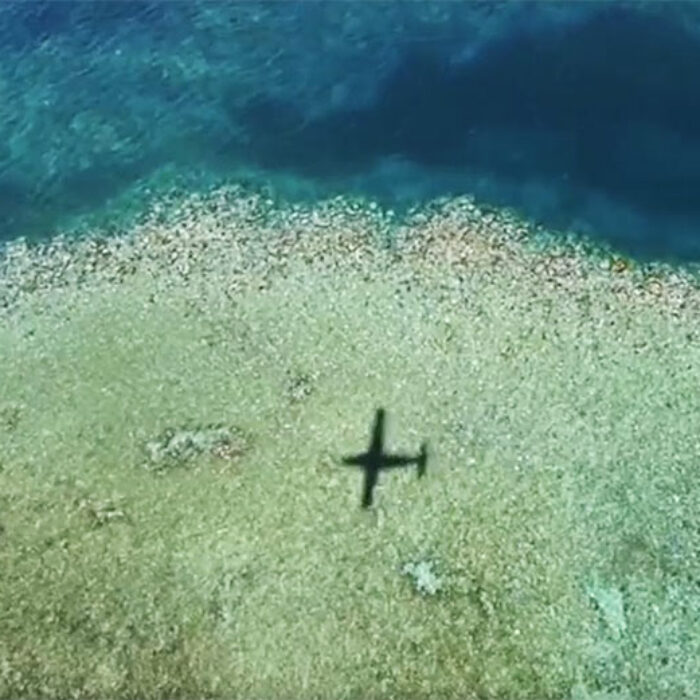 Australian researchers studying Australia's Great Barrier Reef have discovered that more than two-thirds of the coral has been devastated by bleaching.
