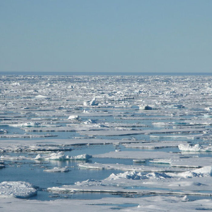 Sea ice in the Arctic. Photo: Tom Rippeth
