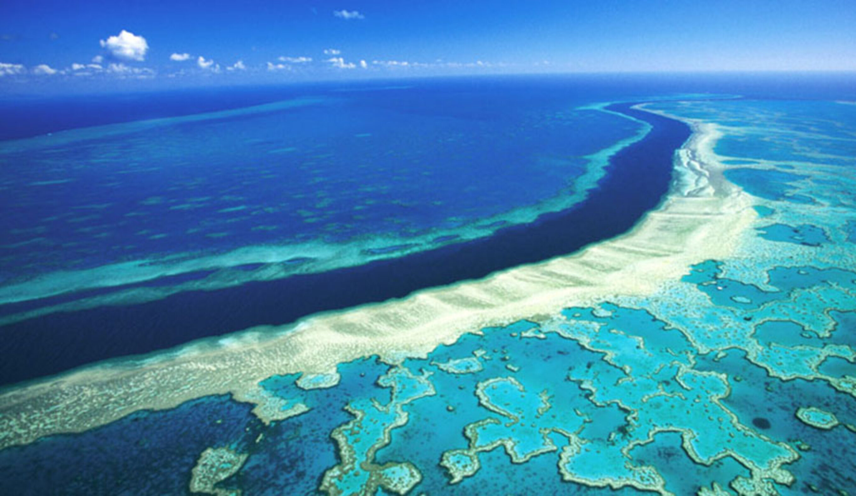 Scientists believe that low-lying clouds could reflect the sun's heat back out to space, allowing the waters around the dying reef to cool down.