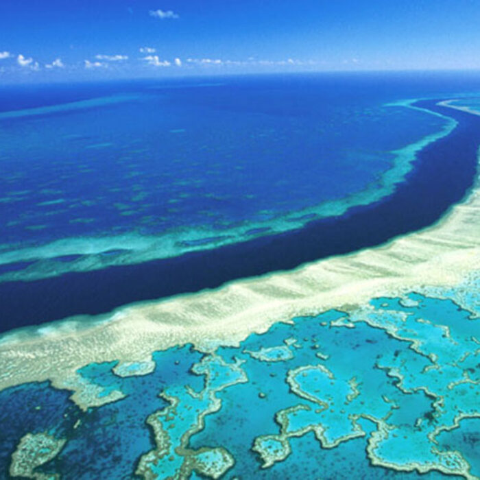 Scientists believe that low-lying clouds could reflect the sun's heat back out to space, allowing the waters around the dying reef to cool down.
