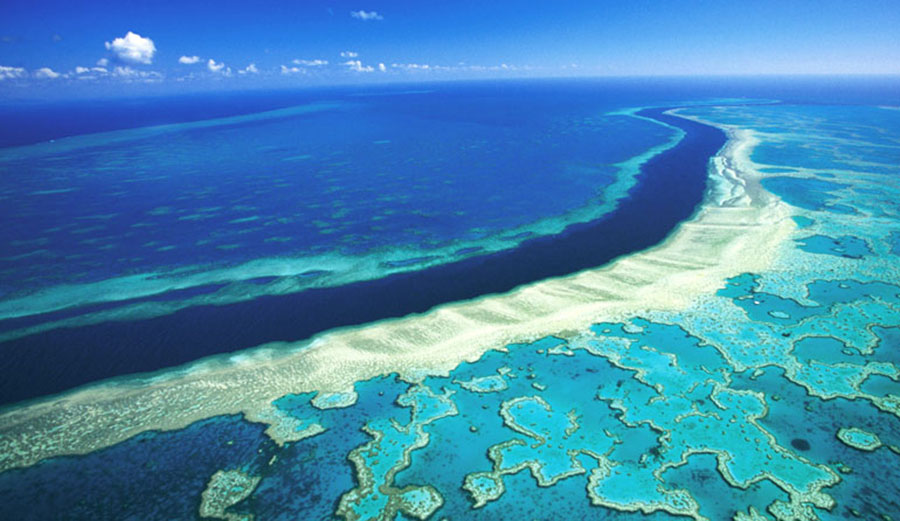 Scientists believe that low-lying clouds could reflect the sun's heat back out to space, allowing the waters around the dying reef to cool down.