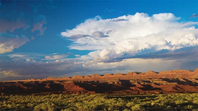 Patagonia CEO Rose Marcario said Patagonia will not stand pat after the president issued an order to review some 24 national monuments that span 100,000 acres of federally protected areas.