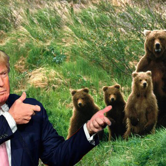 Now you can shoot bears and wolves from aircraft in Alaska. Because everyone loves a fair fight!