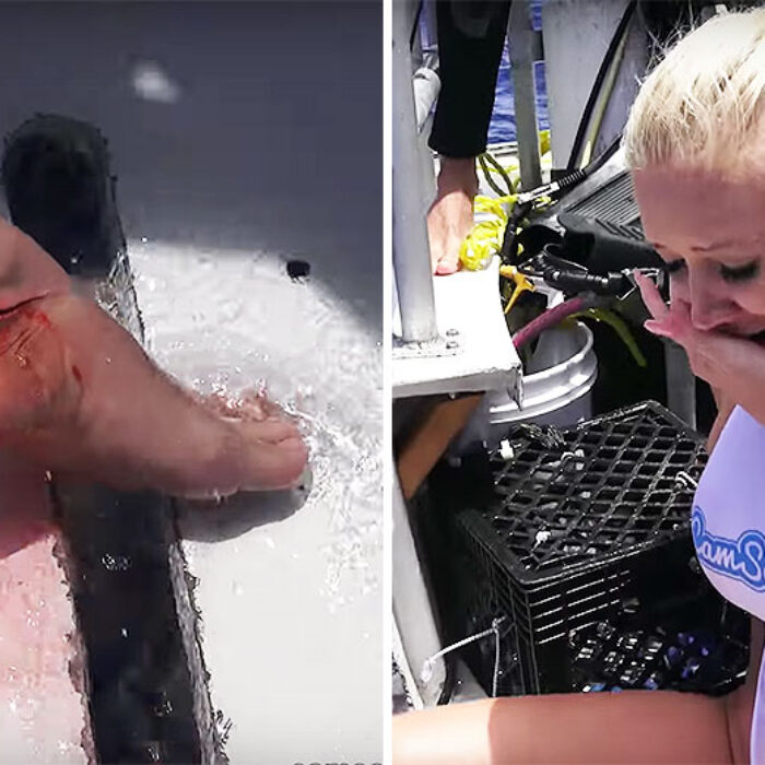 There's a good chance that Molly Cavalli and CamSoda staged the whole shark attack. Above, Molly tests out her acting skills.