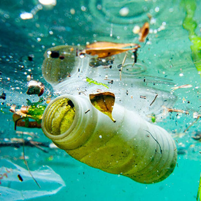 If one theory is correct, microbes may be evolving to clean up our mess. Photo: Elite Reader