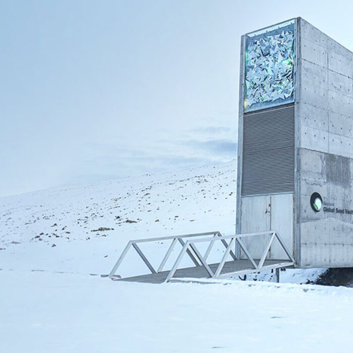The entrance to the Svalbard Global Seed Vault flooded after record temperatures and heavy rainfall. Photo: Crop Trust