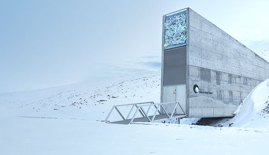 The entrance to the Svalbard Global Seed Vault flooded after record temperatures and heavy rainfall. Photo: Crop Trust