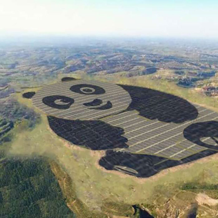 Only in China, right? Literally. This is only in China. Photo: China Merchants New Energy