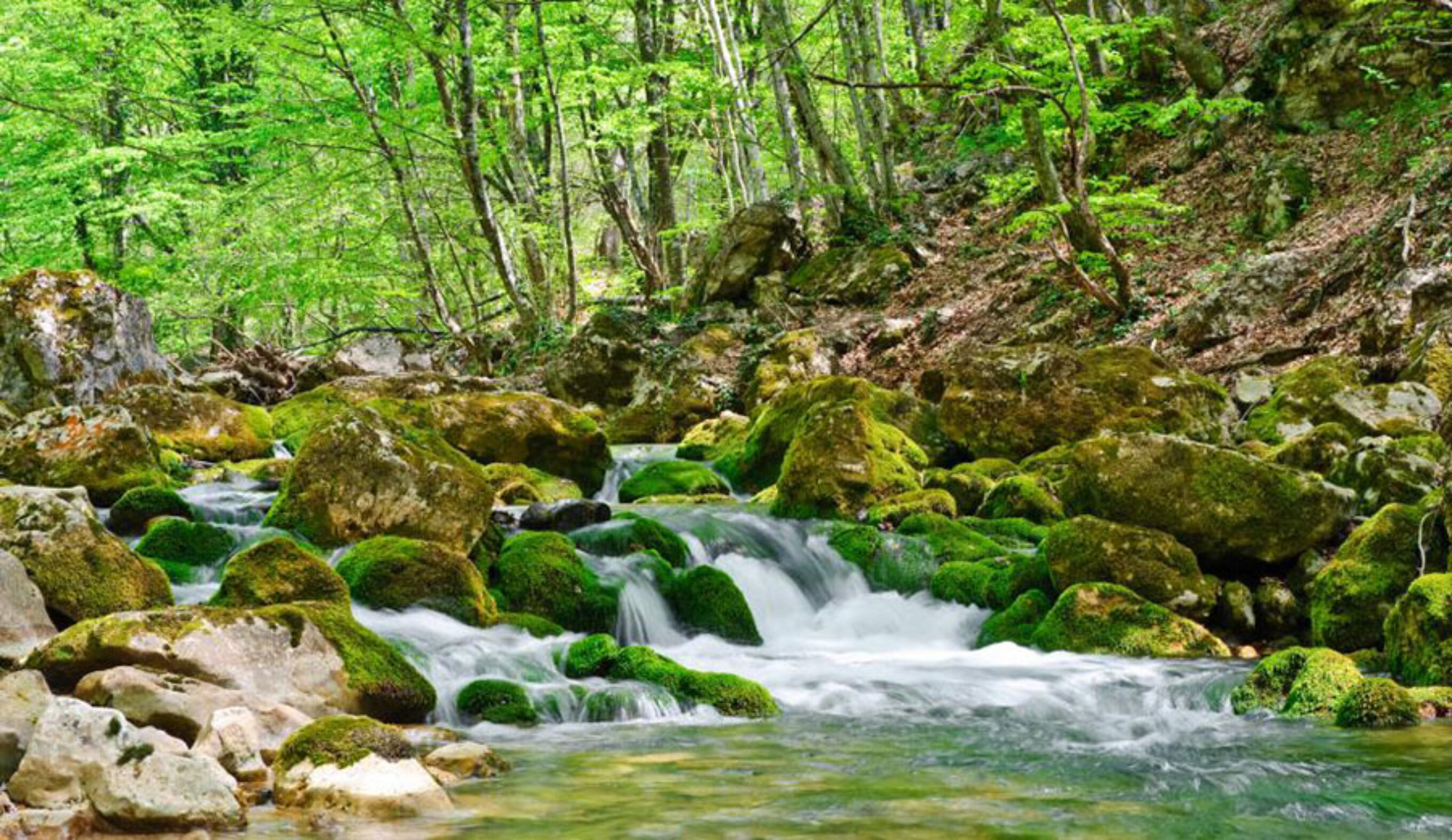 All rivers run to the sea... and we like the sea. Photo: EPA