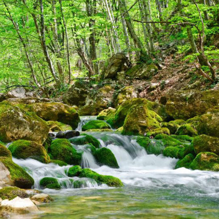All rivers run to the sea... and we like the sea. Photo: EPA