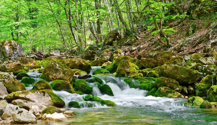 All rivers run to the sea... and we like the sea. Photo: EPA