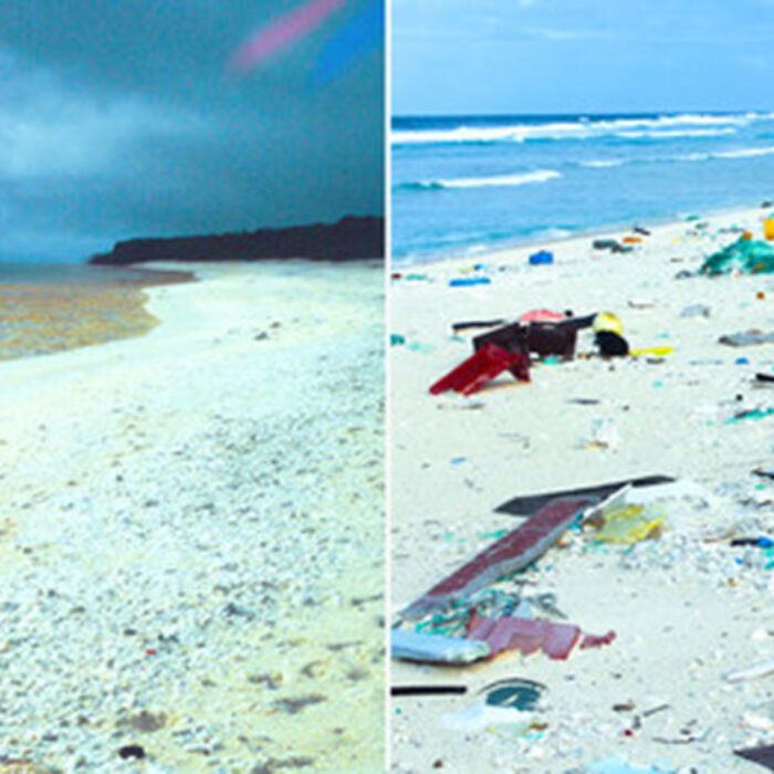 The same beach on Henderson Island, in 1992 and 2015.