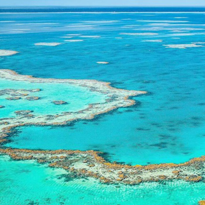 The Great Barrier Reef is reeling under a combination of bleaching, over-fishing and land clearing.