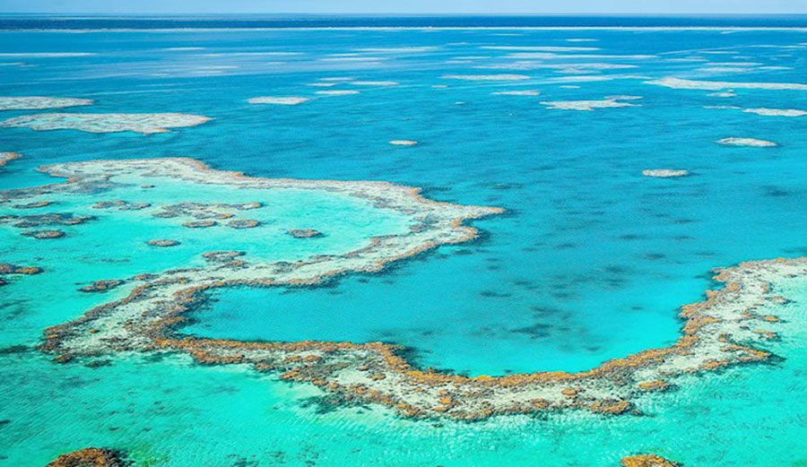 The Great Barrier Reef is reeling under a combination of bleaching, over-fishing and land clearing.
