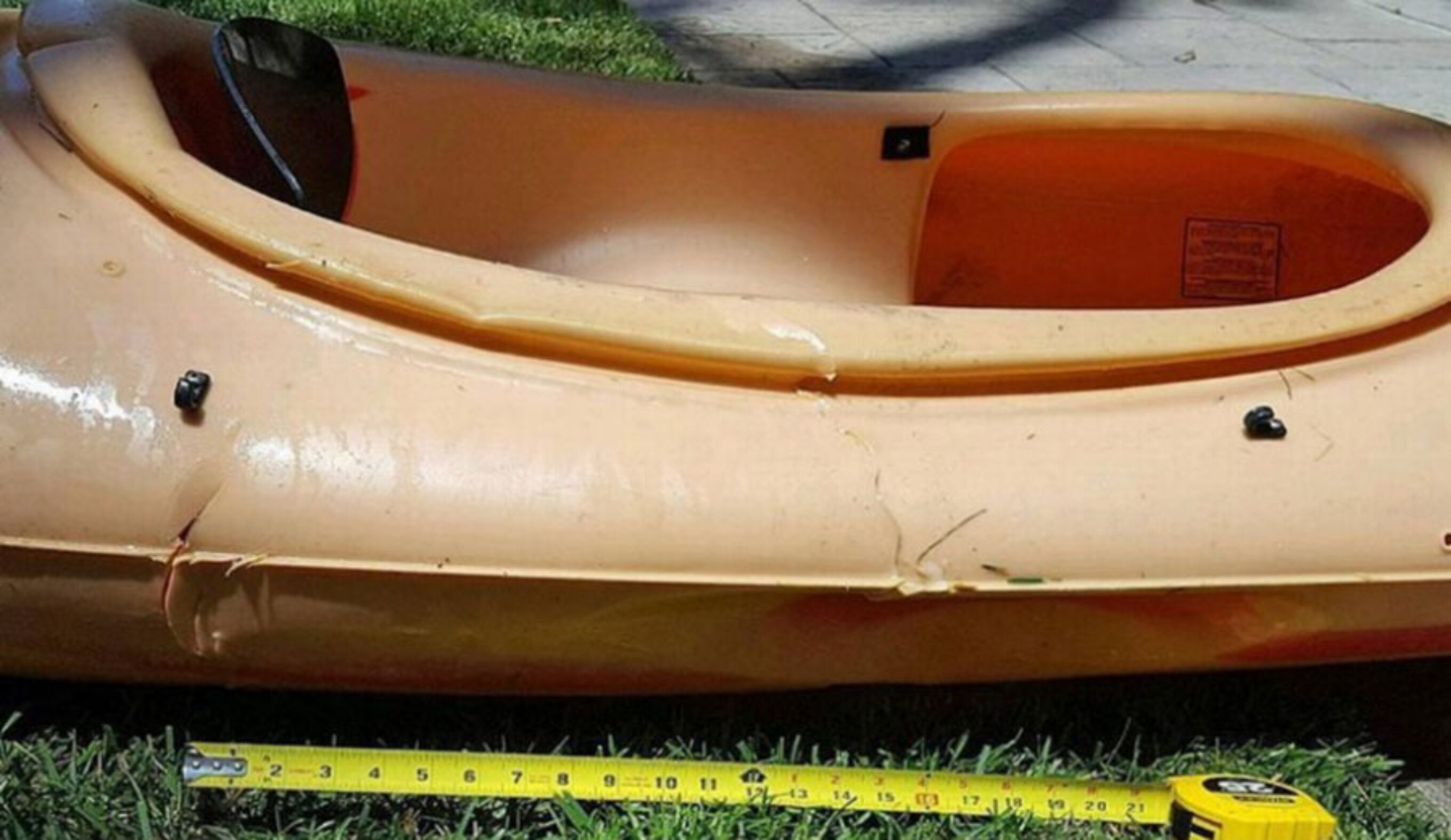 The work of an 11-to-13 foot shark off Santa Barbara.