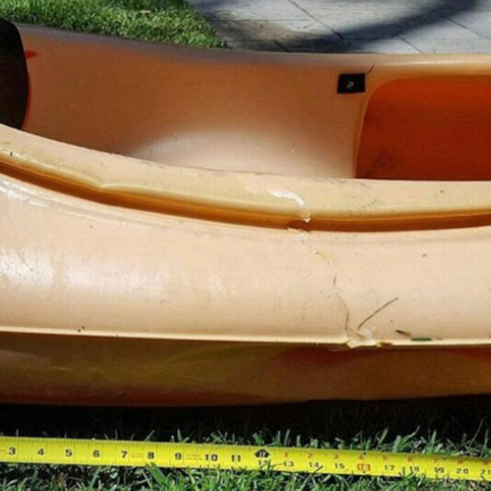 The work of an 11-to-13 foot shark off Santa Barbara.