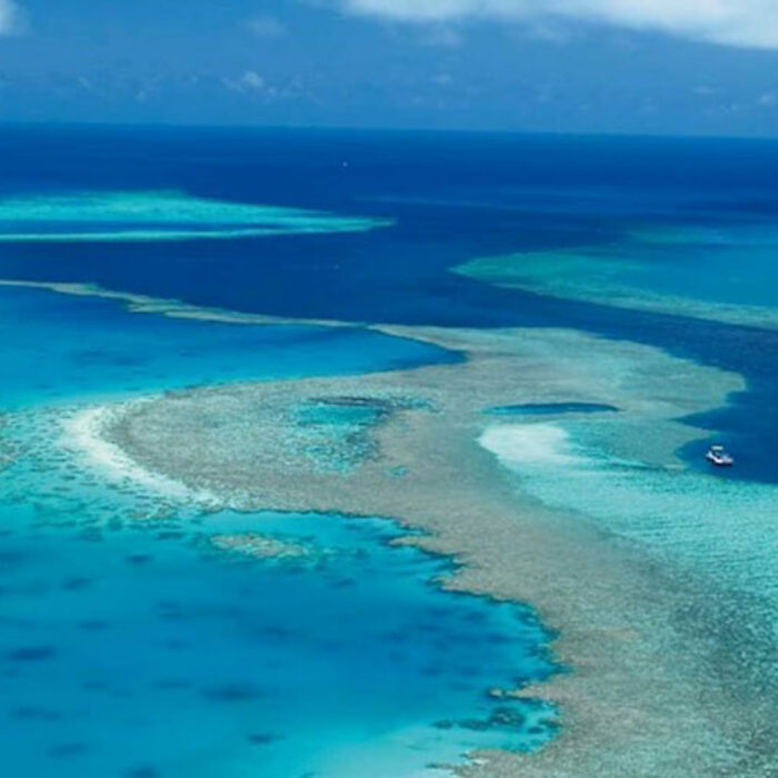 Experts say the current plan to save the Great Barrier Reef are is no longer achievable