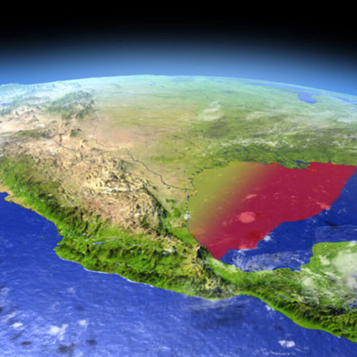 The Dead Zone in the Gulf of Mexico is already much larger than it has ever been. Image: Harvepino / shutterstock