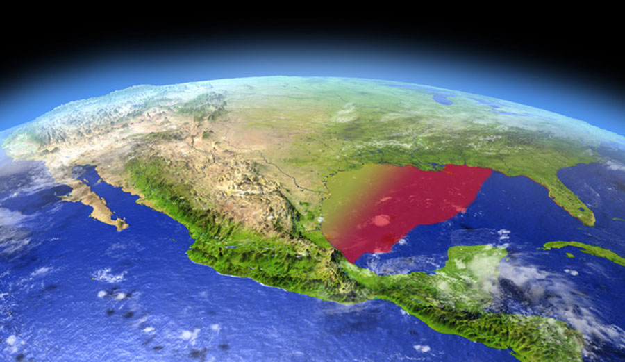 The Dead Zone in the Gulf of Mexico is already much larger than it has ever been. Image: Harvepino / shutterstock