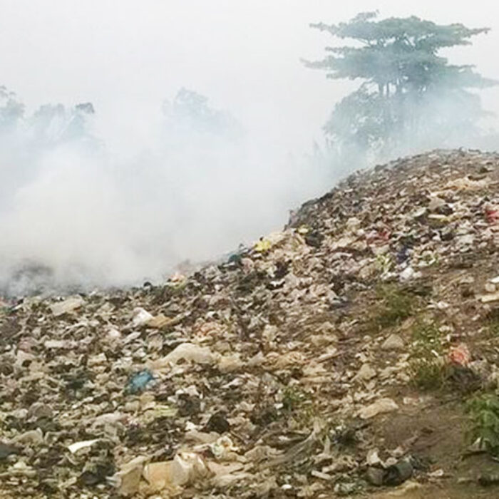 Kenyans use an average of 24 million plastic bags a month. Photo: Joshua Amponsem