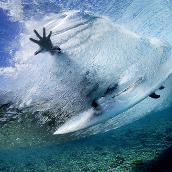 In sharks’ territory. Image: Warm Winds Surf Shop/Flickr, CC BY