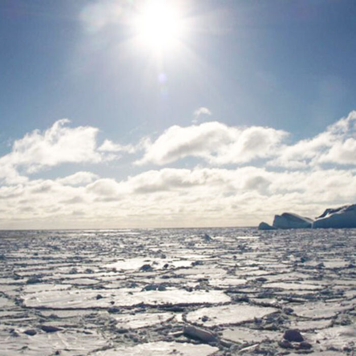 Sea ice trapped atmospheric carbon dioxide in the last ice age. Image: Author provided