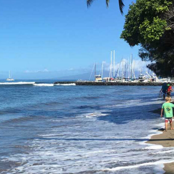 September 16th was International Ocean Cleanup Day, and 300 hundred Maui volunteers did their part by picking up a staggering six tons of garbage.