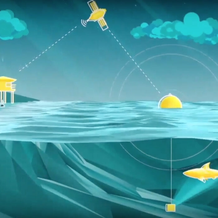 The Clever Buoy Shark Mitigation System.